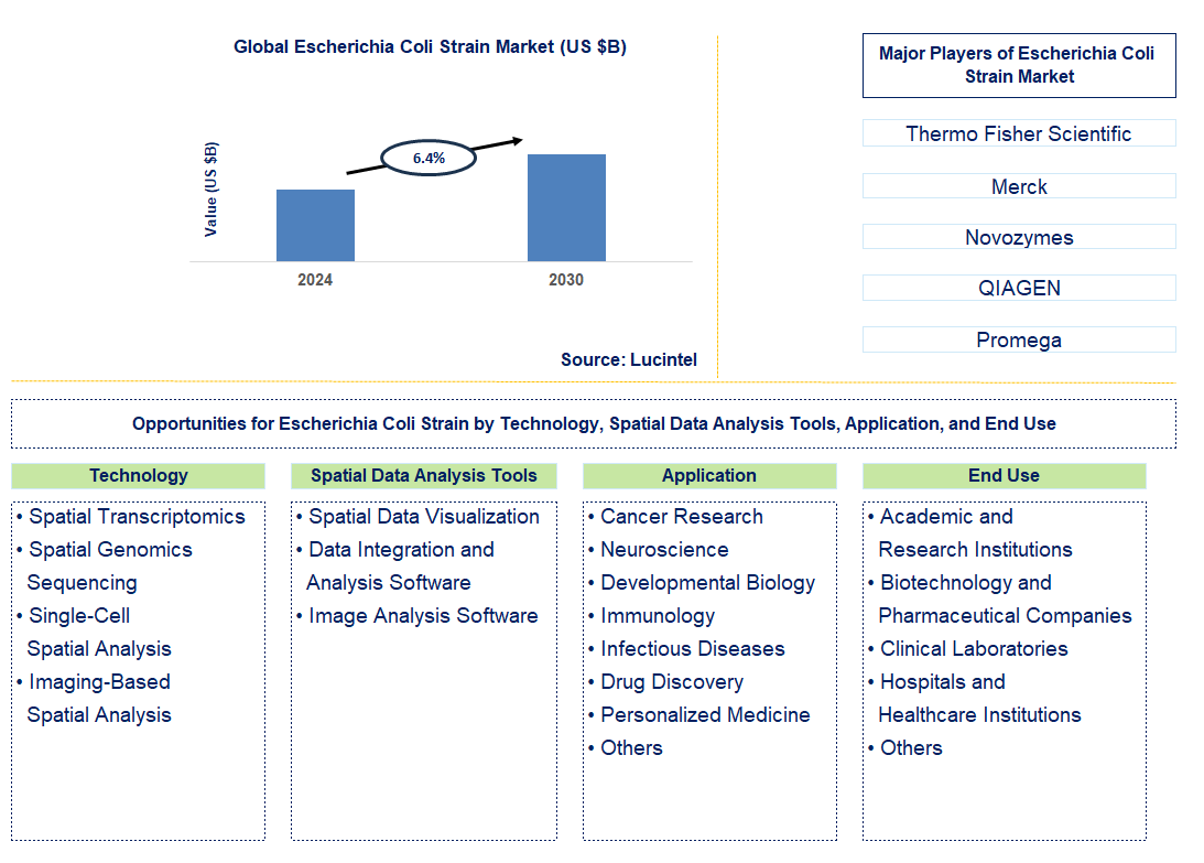 Escherichia Coli Strain Trends and Forecast